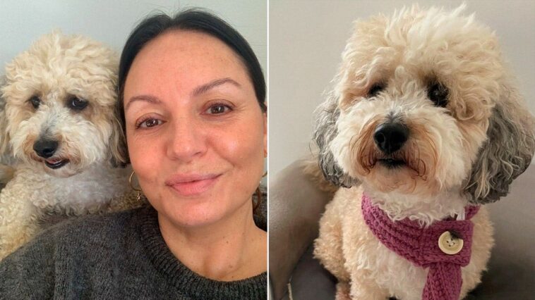 woman’s-cancer-battle-takes-unbelievable-turn-when-her-dog-gets-same-diagnosis