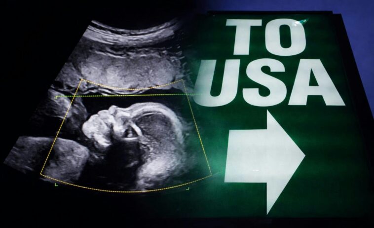 america’s-birth-trend-sparks-alarm-as-a-controversial-slice-nears-1-in-10