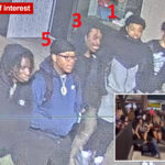 5-victims-confirmed-in-university-of-iowa-mass-shooting-—-as-cops-picture-persons-of-interest