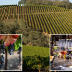 shocking-investigation-reveals-exactly-why-napa-valley-is-crumbling