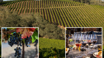 shocking-investigation-reveals-exactly-why-napa-valley-is-crumbling