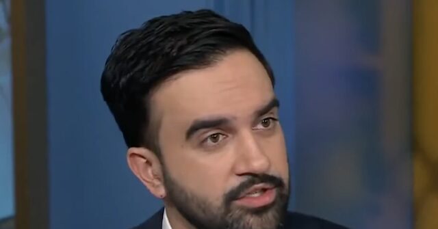 mamdani:-nyc-will-oppose-‘cruel-and-inhumane’-ice-agents-at-polling-places