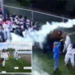 cops-fire-rubber-bullets,-tear-gas-to-fend-off-1,000-animal-rights-activists-attempting-to-free-beagles-from-research-lab