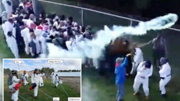 cops-fire-rubber-bullets,-tear-gas-to-fend-off-1,000-animal-rights-activists-attempting-to-free-beagles-from-research-lab