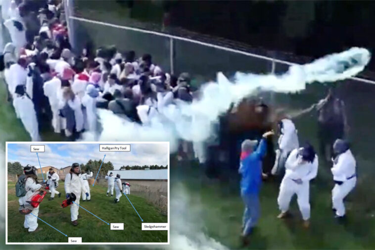 cops-fire-rubber-bullets,-tear-gas-to-fend-off-1,000-animal-rights-activists-attempting-to-free-beagles-from-research-lab