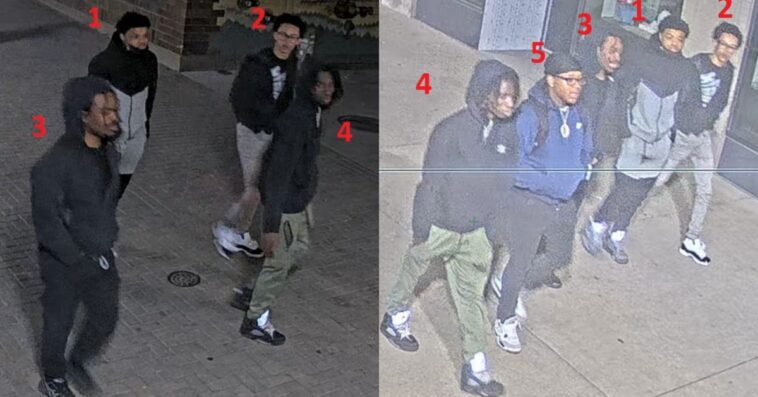 five-shot,-including-three-university-of-iowa-students,-after-massive-late-night-brawl-erupts-into-gunfire-in-iowa-city,-police-seek-help-identifying-suspects