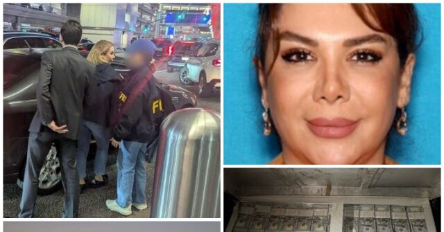 high-rolling-iranian-businesswoman-nabbed-at-los-angeles-airport,-accused-of-arms-trafficking