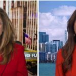 harmeet-dhillon-on-doj-suing-multiple-states-and-dc-over-access-to-voter-rolls:-“we-have-found-at-least-350,000-dead-people-currently-on-the-voter-rolls”-(video)