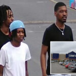 4-goons-steal-car,-mow-down-72-year-old-using-walker-in-nyc-lowe’s-parking-lot:-cops