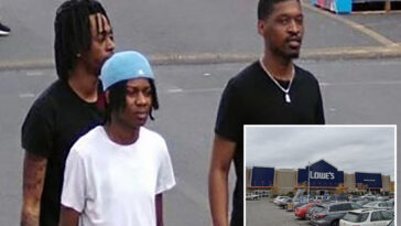 4-goons-steal-car,-mow-down-72-year-old-using-walker-in-nyc-lowe’s-parking-lot:-cops