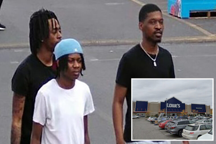 4-goons-steal-car,-mow-down-72-year-old-using-walker-in-nyc-lowe’s-parking-lot:-cops