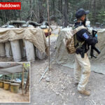 two-us-embassy-officials-among-four-killed-in-mexico-car-crash-after-shutting-down-drug-lab