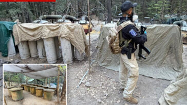 two-us-embassy-officials-among-four-killed-in-mexico-car-crash-after-shutting-down-drug-lab