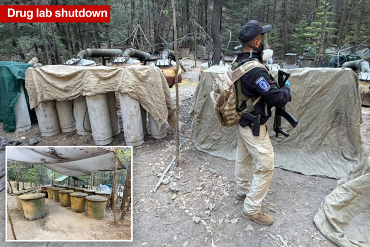 two-us-embassy-officials-among-four-killed-in-mexico-car-crash-after-shutting-down-drug-lab