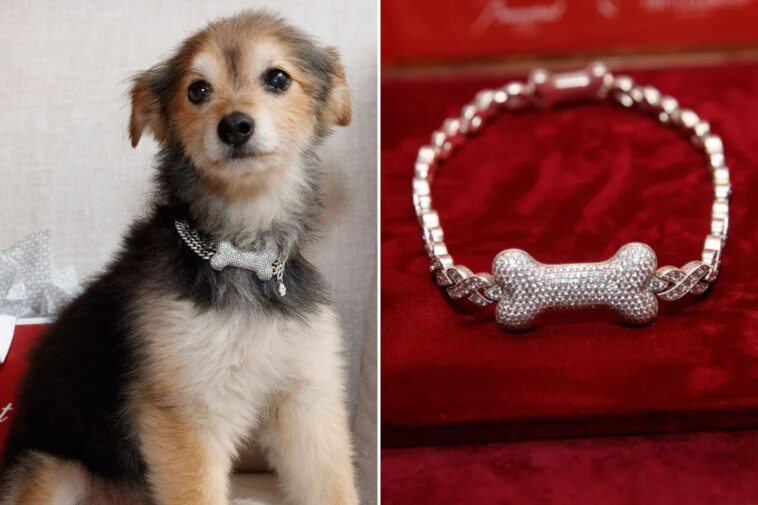 canine-couture-gets-a-major-glow-up-with-gold,-diamond-and-ruby-custom-collars-—-for-a-whopping-$150k