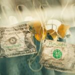 this-airline-charged-for-everything-but-oxygen.-now-it-may-be-paying-the-price