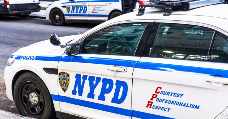 blue-city-paradise:-nyc-thugs-steal-elderly-women’s-car,-hit-72-year-old-with-walker-as-they-make-their-getaway