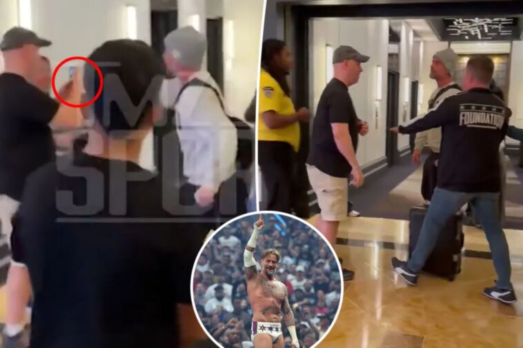 cm-punk-gets-into-altercation-with-wrestlemania-fan-who-was-filming-his-wife