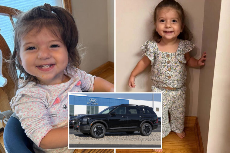 2-year-old-ohio-girl-killed-in-‘freak-accident’-as-hyundai-suv-seat-folds-down-and-crushes-her