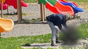 trump-was-right-again:-locals-horrified-as-nigerian-immigrant-kills,-cooks-cat-next-to-playground-–-reports