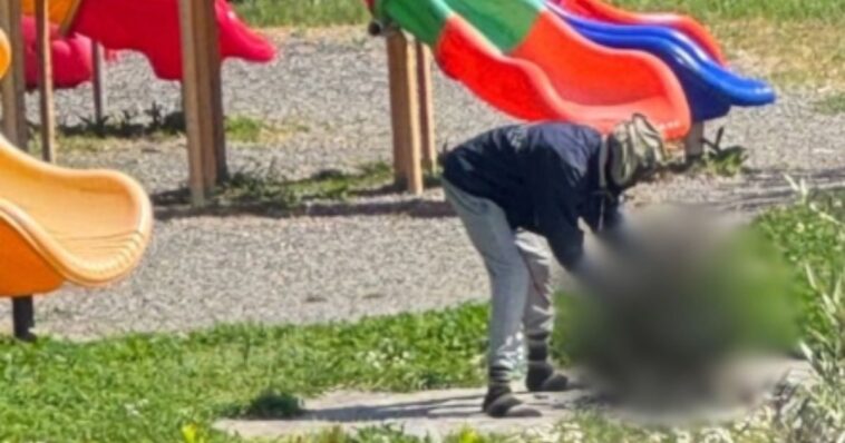 trump-was-right-again:-locals-horrified-as-nigerian-immigrant-kills,-cooks-cat-next-to-playground-–-reports