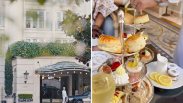 bougie-beverly-hills-rooftop-restaurant-closes-due-to-disgusting-vermin-infestation:-‘major-violations’