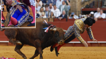 famed-spanish-matador-suffers-humiliating-injury-in-bullfight-blunder