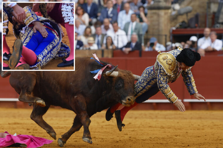 famed-spanish-matador-suffers-humiliating-injury-in-bullfight-blunder