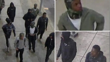 violent-teen-mob-beats-temple-university-student-in-dorm-in-vicious-caught-on-video-attack