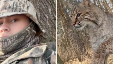 wisconsin-teen-mauled-by-bobcat-during-turkey-hunt-in-terrifying-viral-video