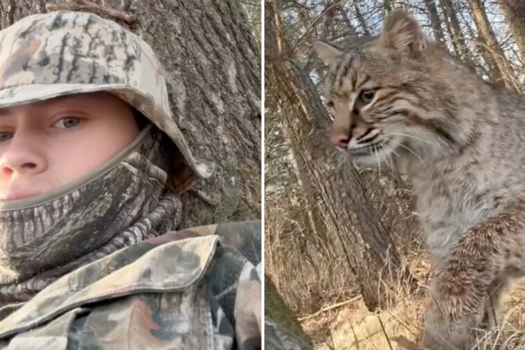 wisconsin-teen-mauled-by-bobcat-during-turkey-hunt-in-terrifying-viral-video