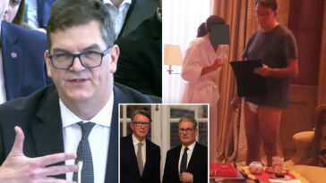 fired-former-uk-official-says-he-felt-political-pressure-to-approve-mandelson-as-us-ambassador