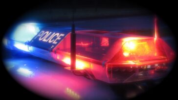 blue-city-paradise:-nyc-thugs-steal-elderly-women’s-car,-hit-72-year-old-with-walker-as-they-make-their-getaway