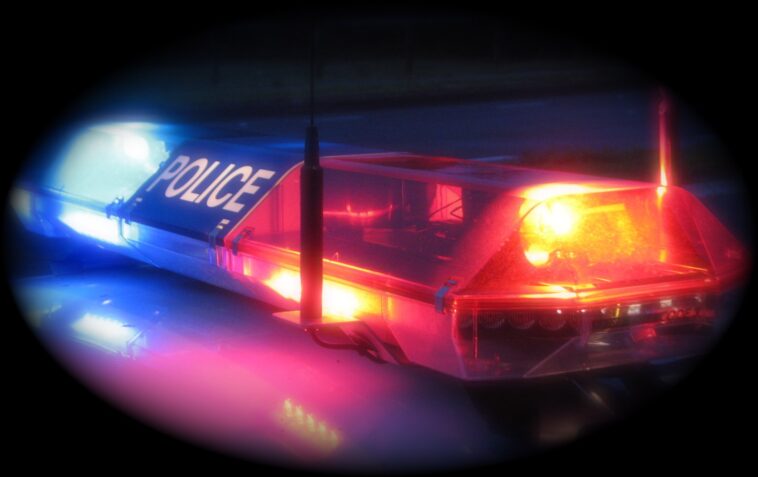 blue-city-paradise:-nyc-thugs-steal-elderly-women’s-car,-hit-72-year-old-with-walker-as-they-make-their-getaway