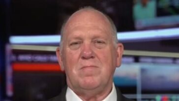 homan:-china-exploiting-visa-waiver-program,-hope-mullin-makes-changes-‘soon’