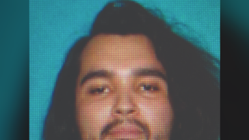 nolte:-man-accused-of-rubbing-genitals-on-woman’s-face-in-whole-foods