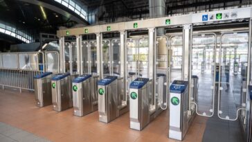 one-hardline-change-and-crime-starts-falling-almost-overnight