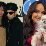 prince’s-ex-wife-weighs-in-on-catastrophic-pet-crisis-crippling-los-angeles