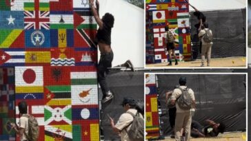 instant-karma-for-coachella-activist-who-tried-to-tear-down-israeli-flag