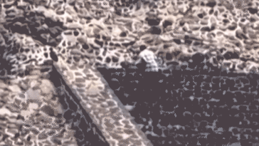 americans-among-injured-at-shooting-caught-on-video-at-tourist-hot-spot-in-mexico