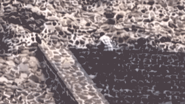 americans-among-injured-at-shooting-caught-on-video-at-tourist-hot-spot-in-mexico