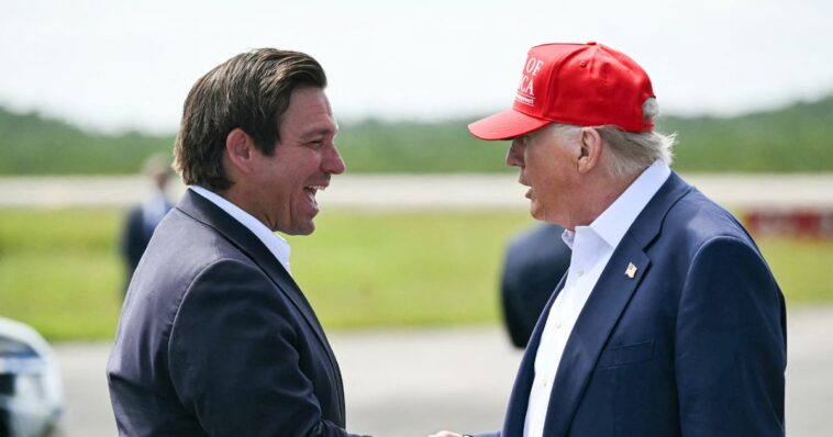 trump-and-desantis-discuss-appointment-to-key-administration-position:-report