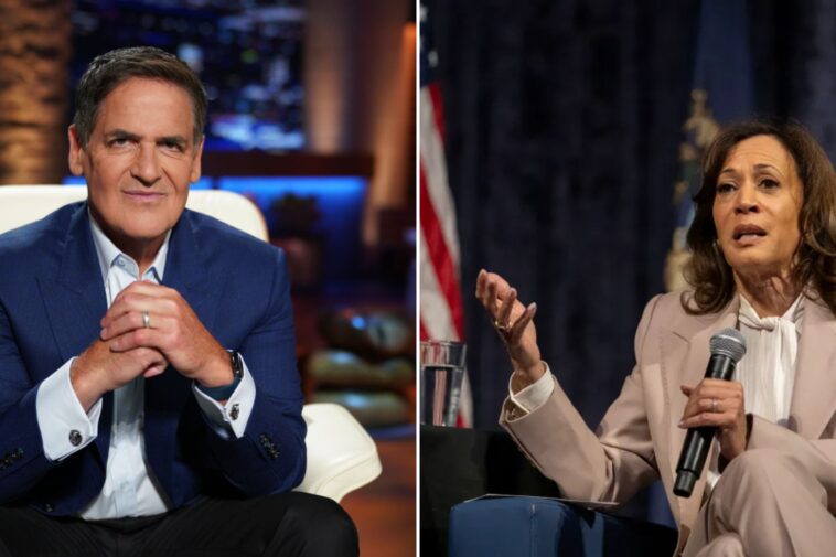 mark-cuban-brutally-snubs-another-kamala-harris-presidential-run:-‘i-don’t-care’