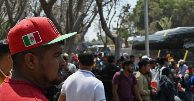 cato-claims-migrants-pay-more-taxes-than-average-americans