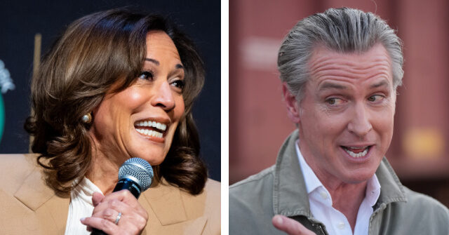 kamala-harris-tops-newsom-by-one-point-in-2028-democrat-primary-poll