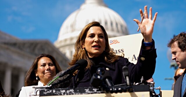 ‘dignidad’-republican-maria-salazar-says-she-welcomes-primary-challenger