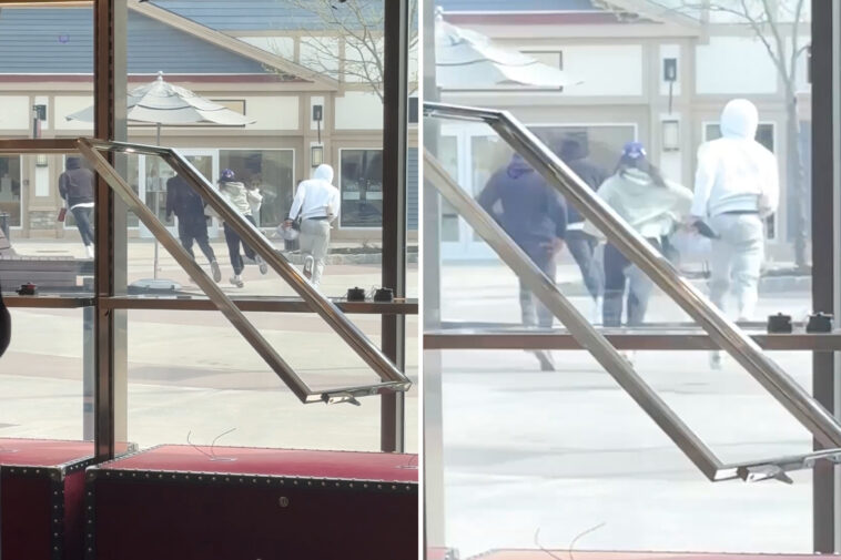 4-thieves-steal-gucci-handbags-worth-$30k-in-daylight-smash-and-grab-at-ny-shopping-outlet