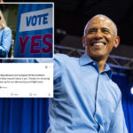 obama-ripped-for-congratulating-virginia-for-‘standing-up-for-democracy’-after-gerrymander-vote:-‘what-a-farce’   