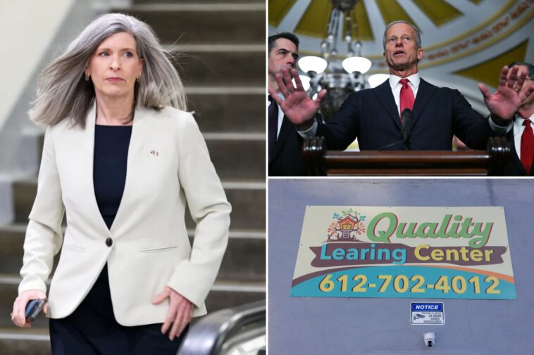 senate-republicans-unveil-bundle-of-anti-fraud-bills-to-save-$240b