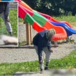 migrant-seen-cooking-cat-on-makeshift-fire-at-children’s-playground